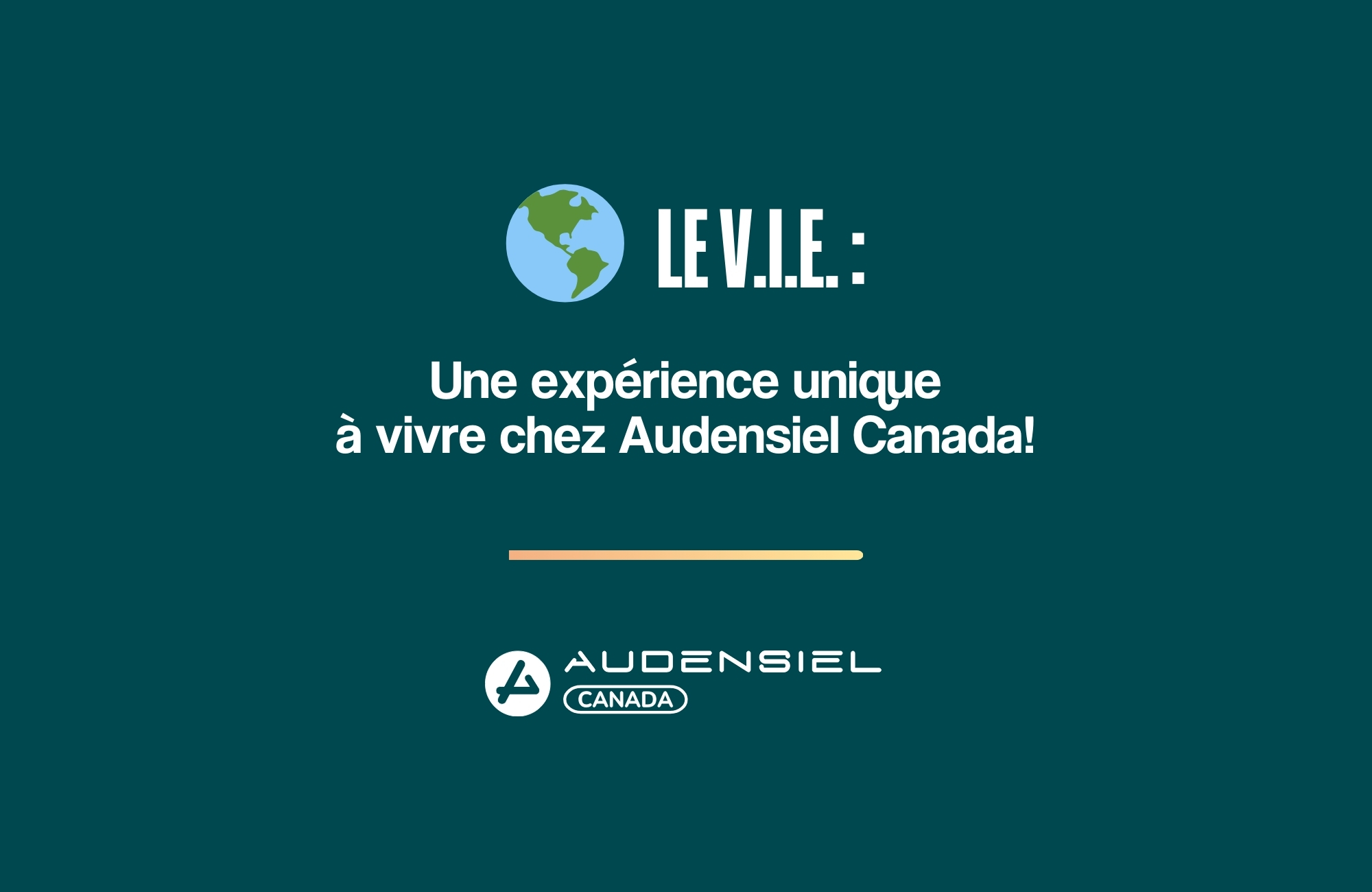 Le Volontariat International en Entreprise (V.I.E): une expérience unique à vivre chez Audensiel Canada!